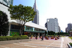 カボチャの名産地