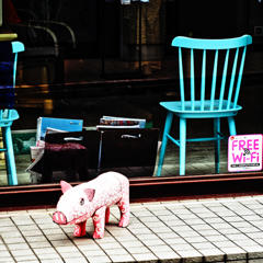 ロシアンレンズ