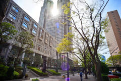 焦点距離21mmの世界