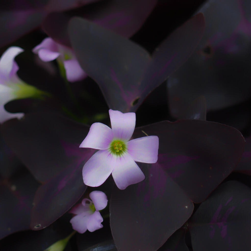 ちょっとマクロ