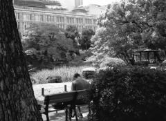 ローライ in 日比谷