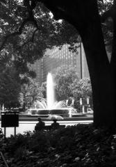 ローライ in 日比谷