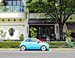 プラチナ通り界隈