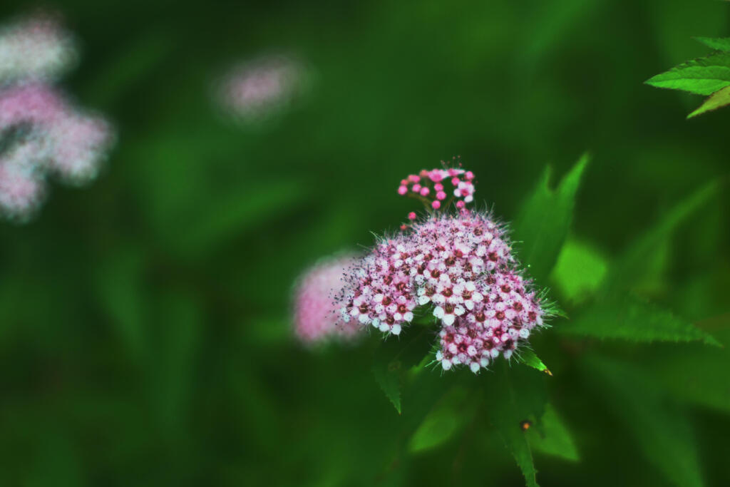 ちょっとマクロ