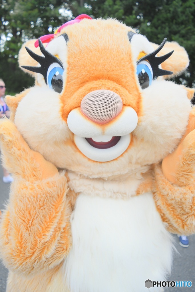 大好きうさぎさん