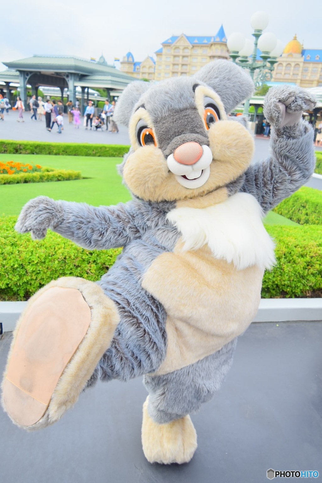 とんすけに蹴られ隊←←