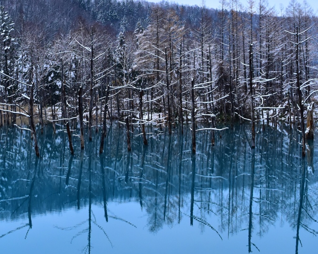 青い池