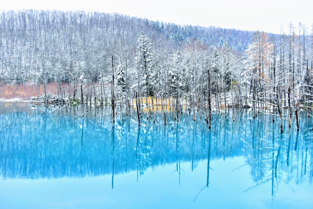 雪化粧