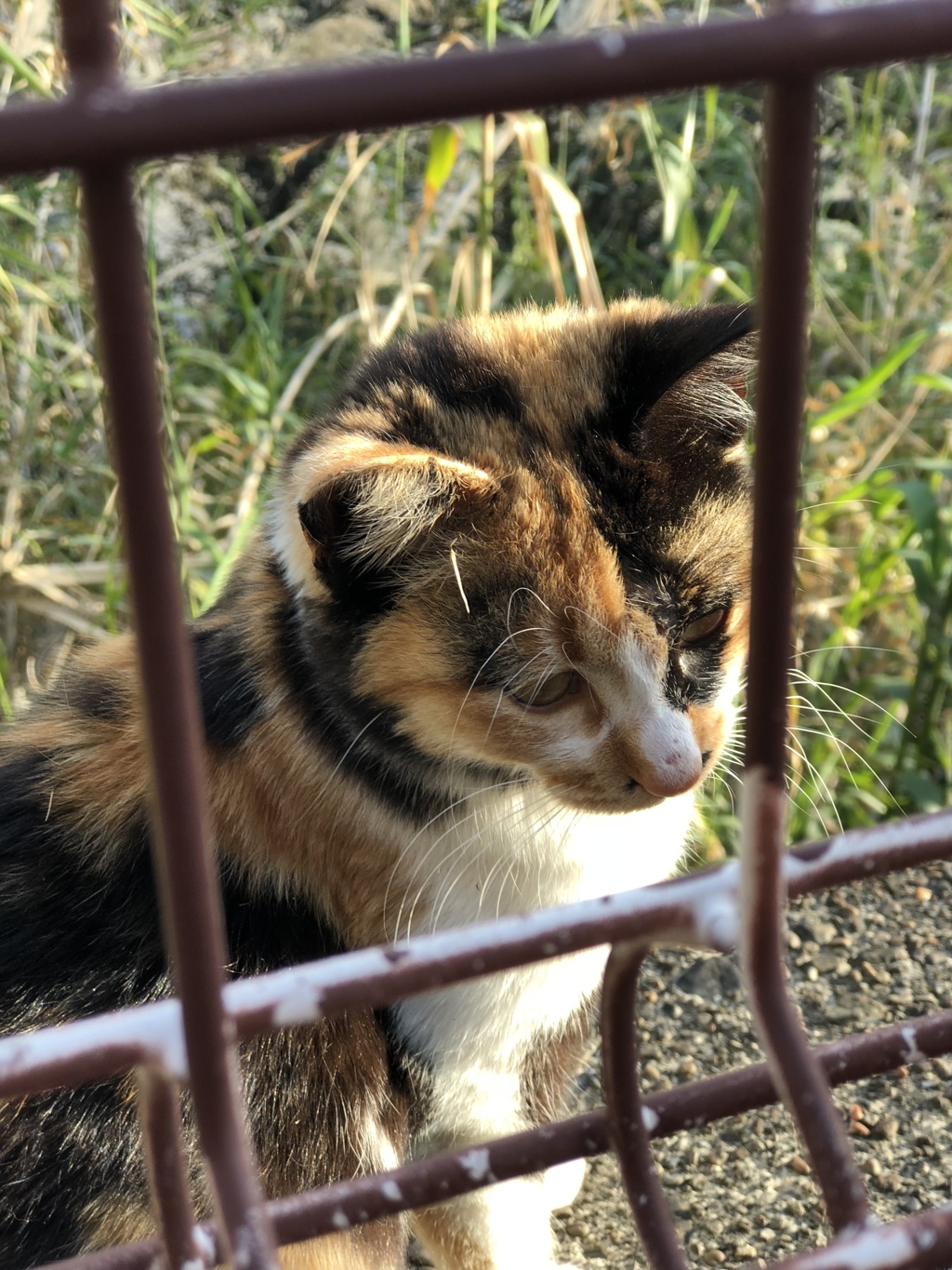 忘れないよ