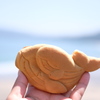 海を泳ぐクジラ