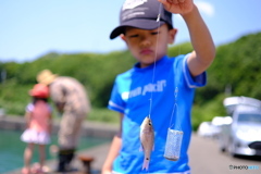 初釣果はチビサイズ