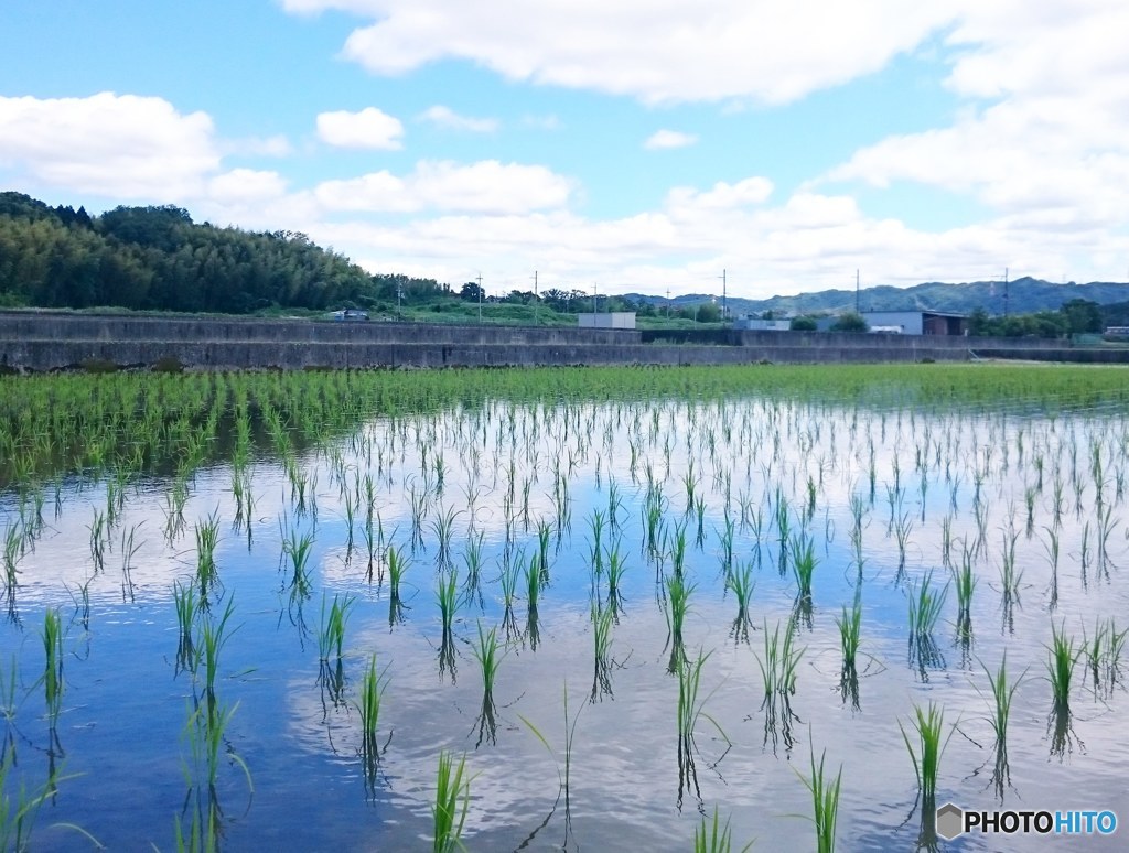 梅雨の晴れ間