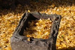 蹲〜つくばい〜