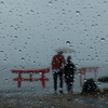 DSCF1050