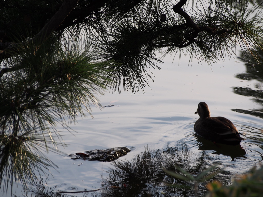 88FE7B19-1005-402B-A8A9-50EFFCD782C0