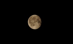 honey moon