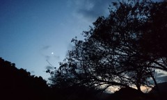 夕から夜へ