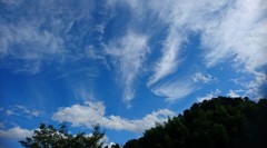 夏の午後