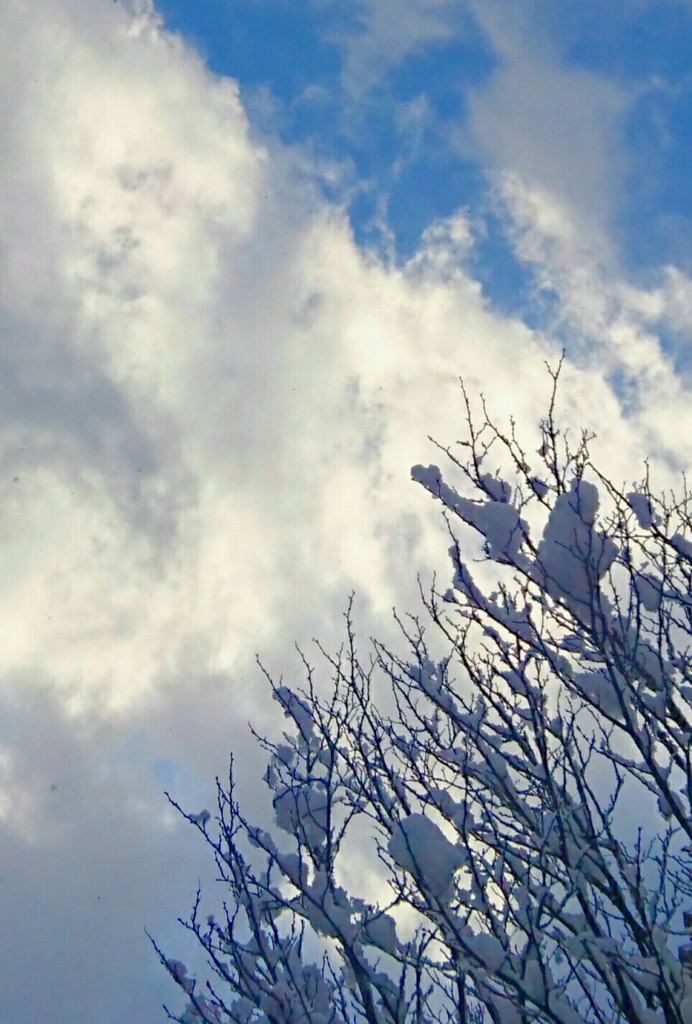 雪ニモマケズ