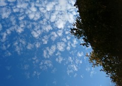 見上げた空