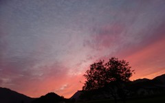 珊瑚色に染まる夕暮れ