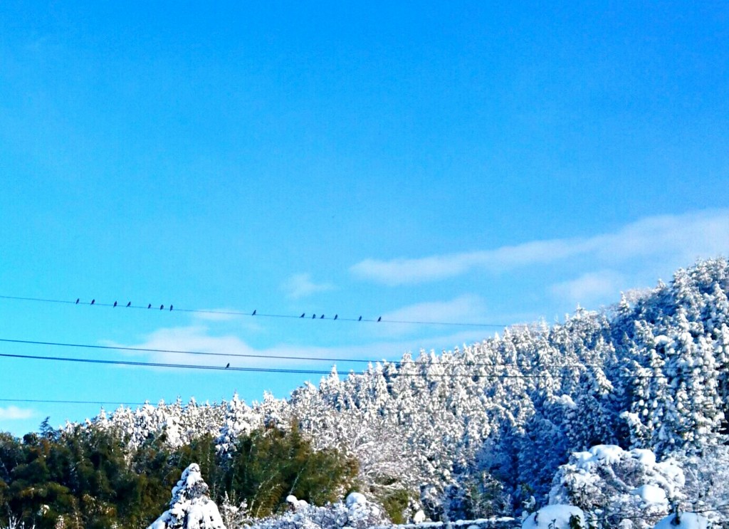 雪見