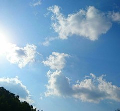 高く、舞い上がれ