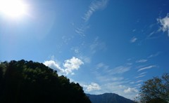 小春日和