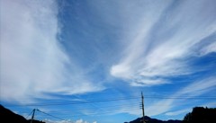 風にきえないで