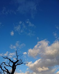 どんな時も