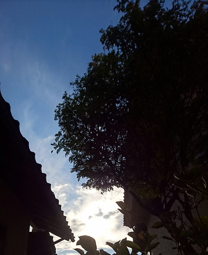 霜月の午後３時