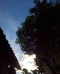 霜月の午後３時