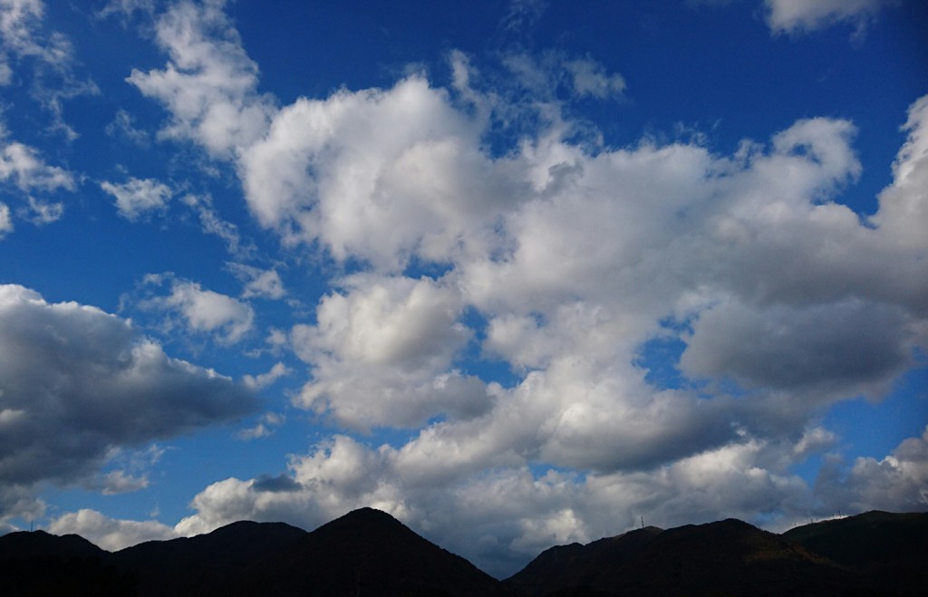 冬空