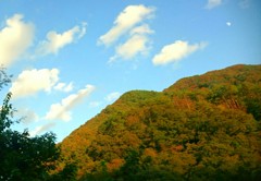 紅葉と空と月と