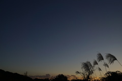 佐鳴湖散歩4
