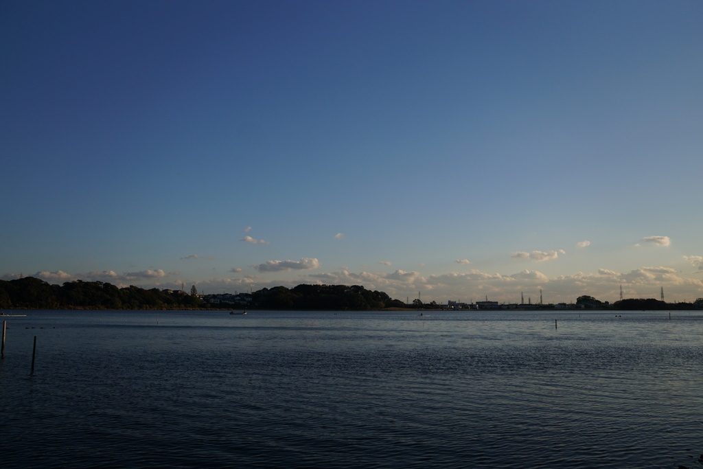 佐鳴湖散歩2