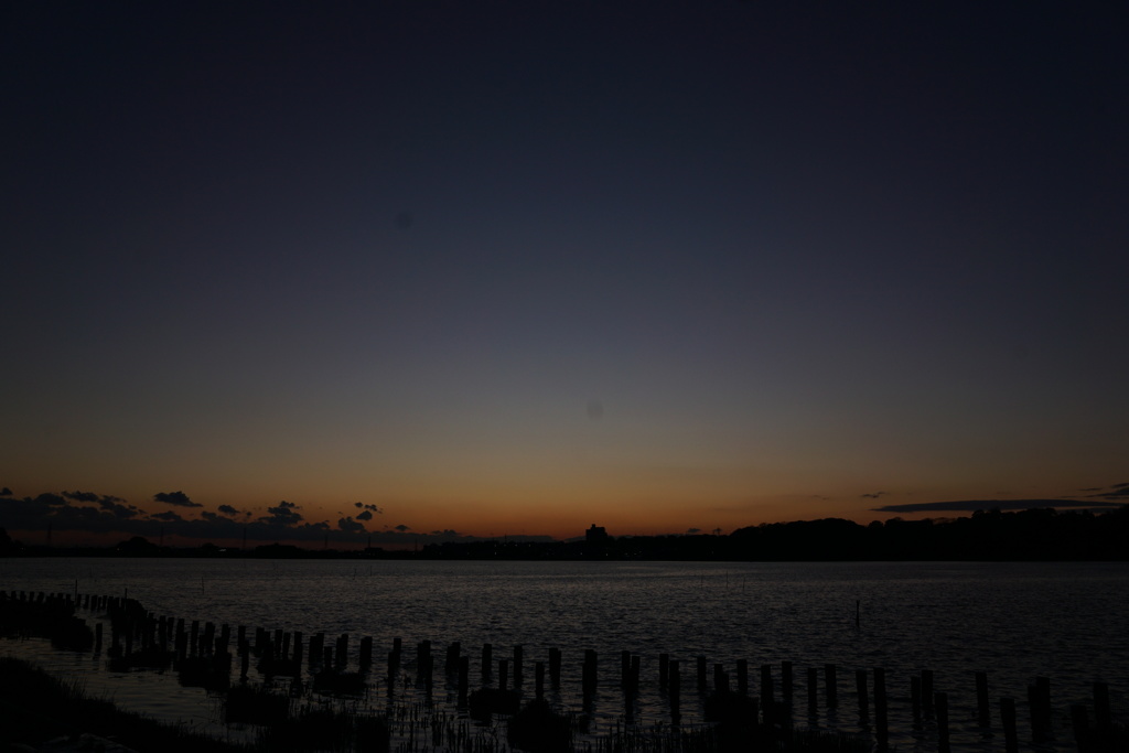 佐鳴湖散歩7