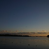 佐鳴湖散歩3