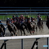 競馬 2