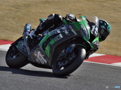 Kawasaki Team GREEN #15