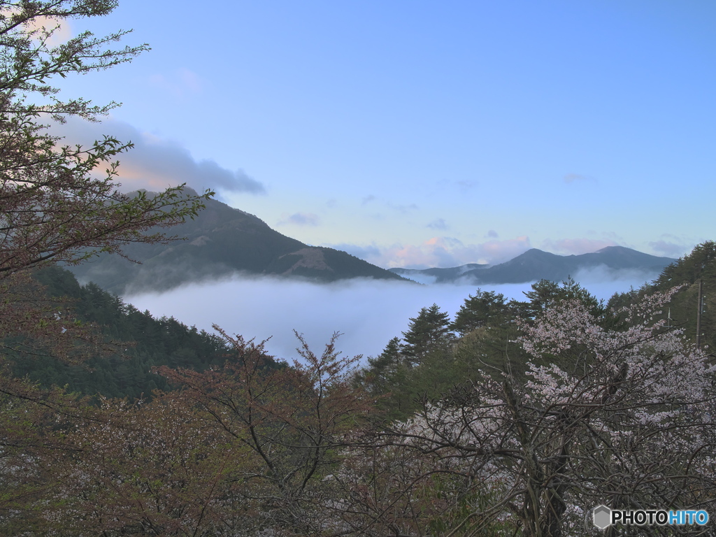 雲海