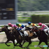 京都競馬