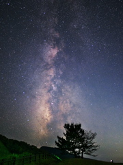 真夜中の高原散策