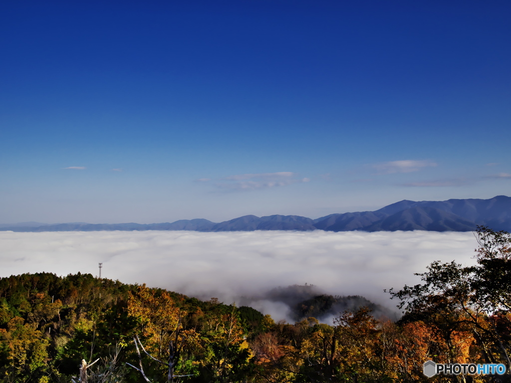 雲海 1