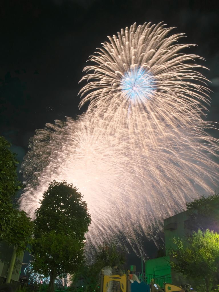 花火を見上げて