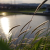夏の夕焼け
