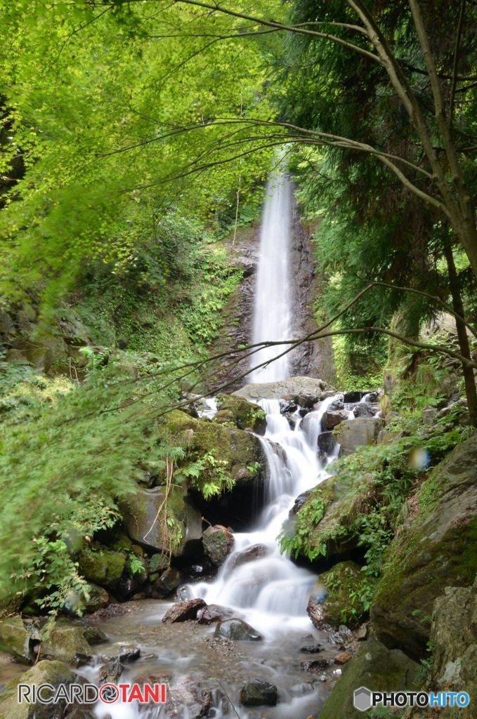 yoro park