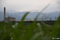 Dr.Yellow in Tarui