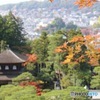 銀閣寺