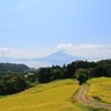 小牧の棚田